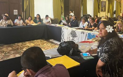 Encuentro nacional reunió a los 11 pueblos indígenas para avanzar en seguridad hídrica