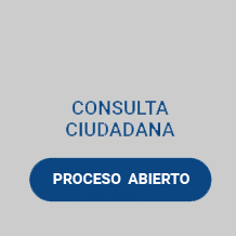 Consulta ciudadana