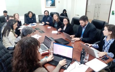 DGA participa en sesión del Comité Directivo del Plan de Adaptación al Cambio Climático para los Recursos Hídricos